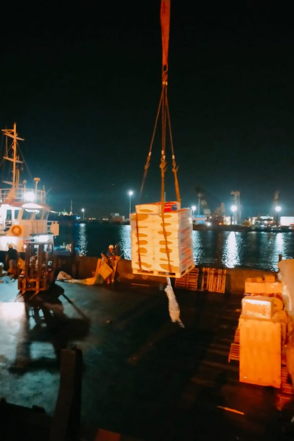 WhatsApp Image 2022-10-03 at 17.58.33 (1)